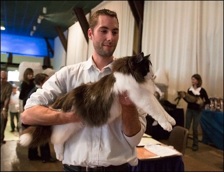 Ellboy du Soleil de Minuit 3.jpg - Ellboy du Soleil de Minuit